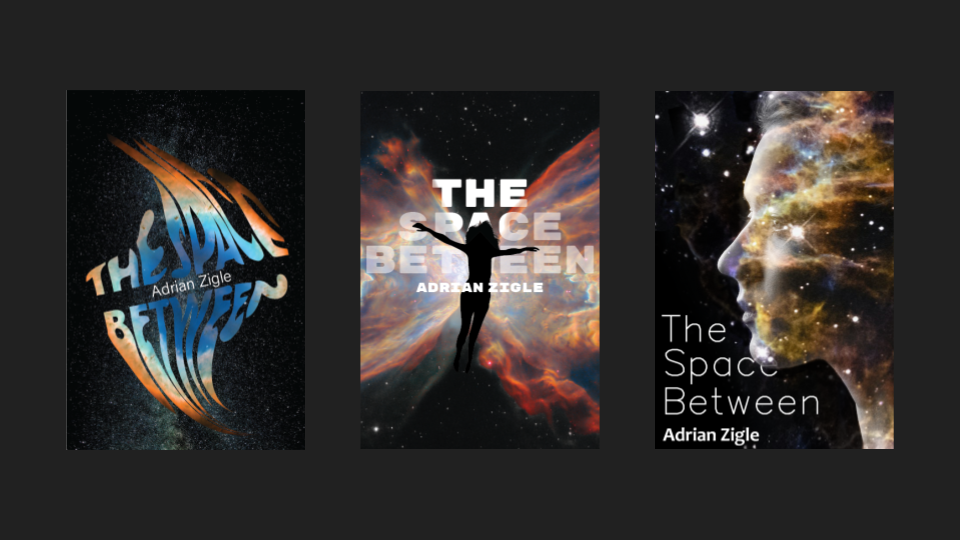 Three Book Covers for a book titled The Space Between